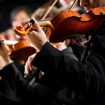 La metafora dell'orchestra